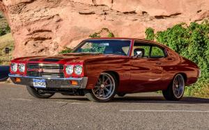 Chevrolet Chevelle Coupe LSA 5-Speed 1970 года